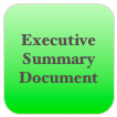 Executive Summary Document